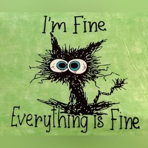 Graphic Novelty T Shirt